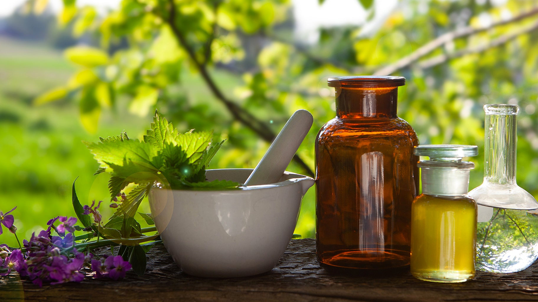 The Benefits of Plant-Based Skin Care