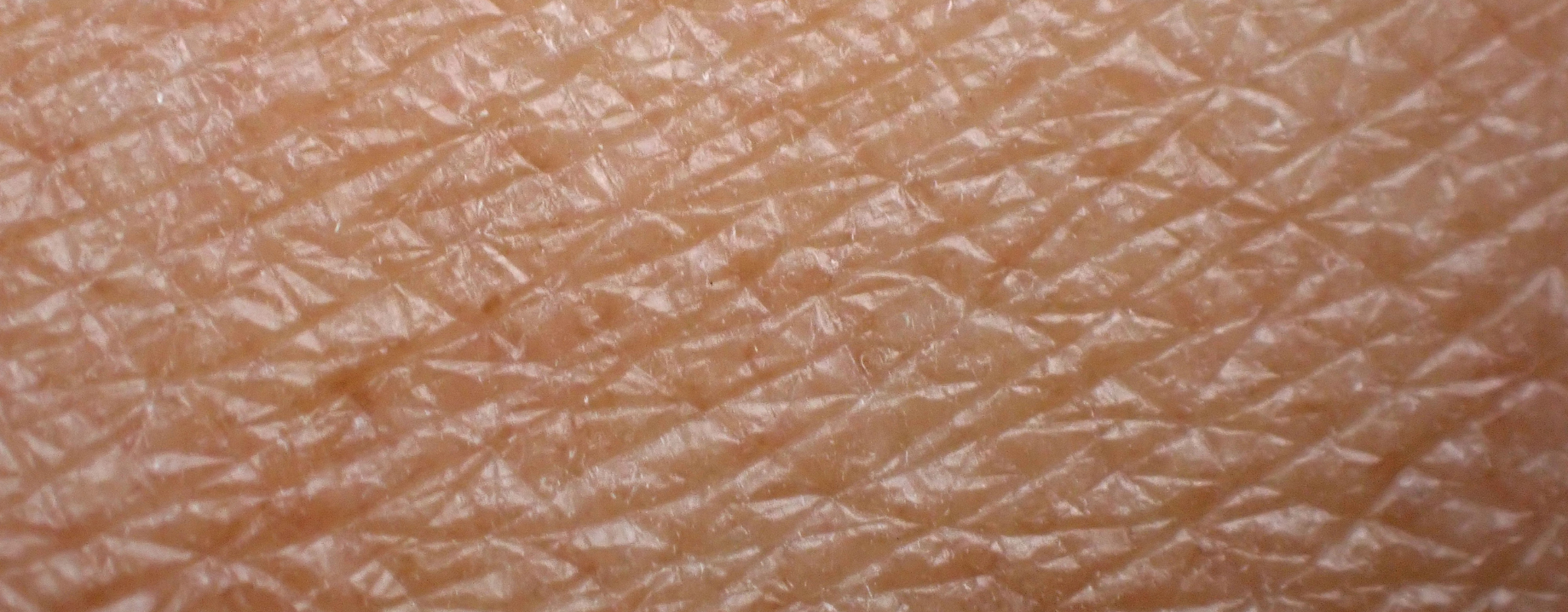 Microbiome-Friendly Skincare: Nurturing Your Skin's Natural Ecosystem