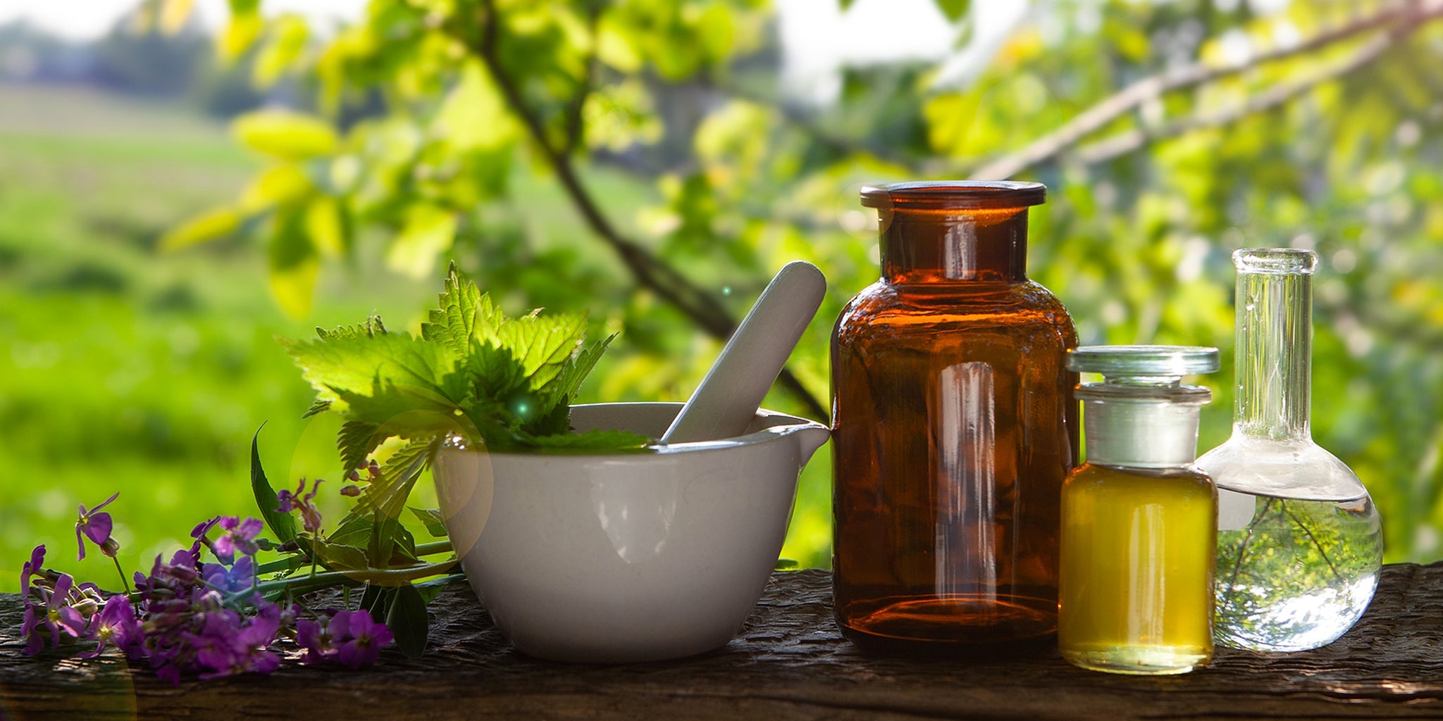 The Benefits of Plant-Based Skin Care